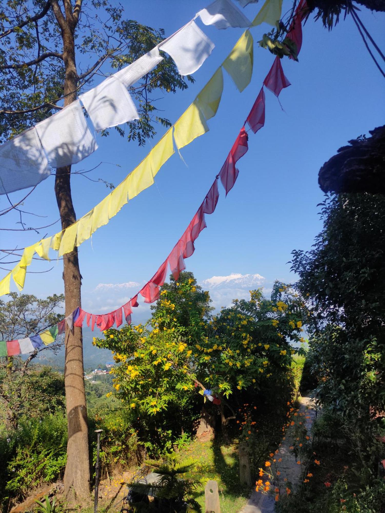 Depche Village Resort Bandipur Esterno foto